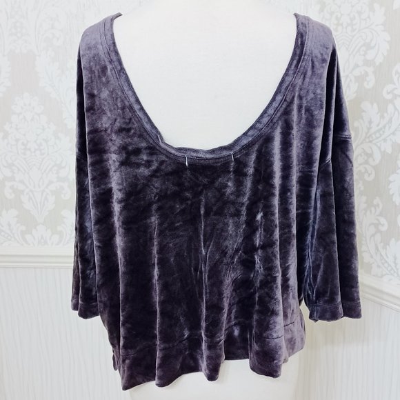 We The Free Purple Velvet Crop Sweatshirt Short Sleeve Top Scoop Back Size Small - Picture 3 of 5